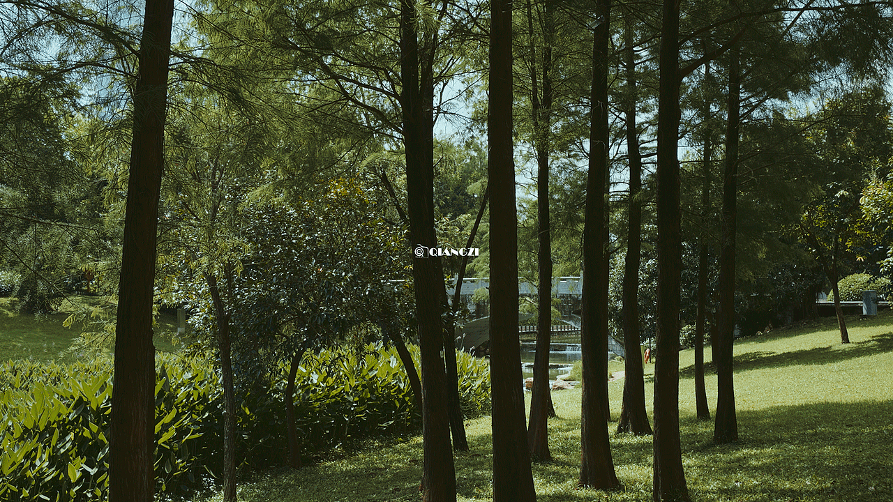 《徒步的意义》VLOG视频微短片（图ZMzQ0OTUxOTgw） - 宣传片 - 站酷设计师圈点摄影强子视界原创素材 - 站酷ZCOOL