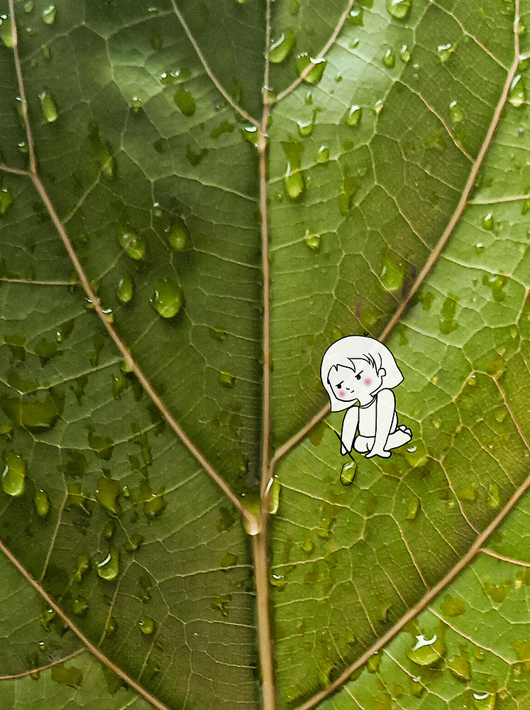 一场雨丨秋日插画 12（图ZMzIwNjQ2NTU2） - 艺术插画 - 站酷设计师画画的大椿原创素材 - 站酷ZCOOL