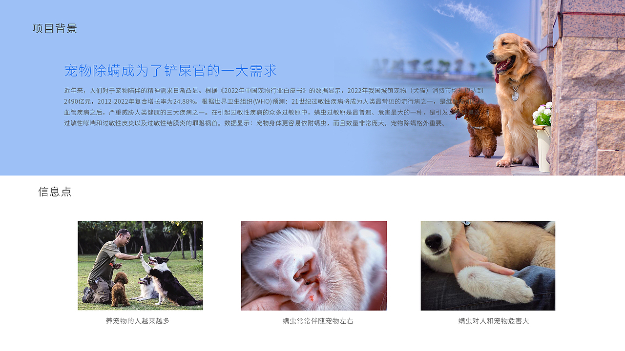 便携式宠物耳螨护理仪