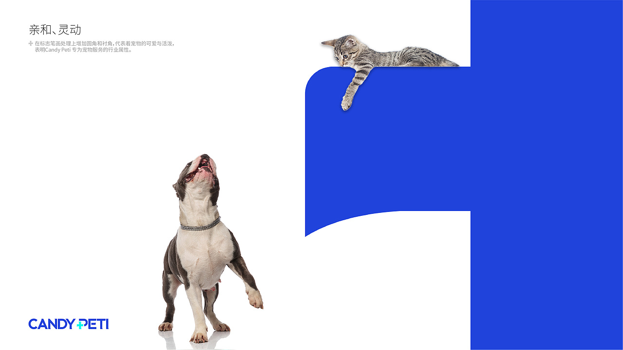 Candy Peti 全新品牌形象设计