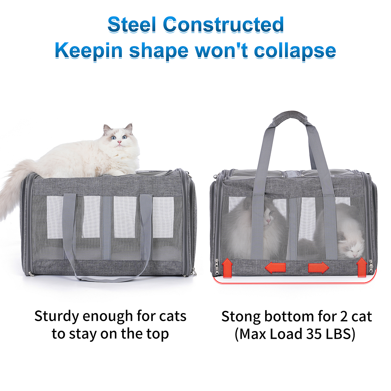 产品摄影广告拍摄亚马逊宠物用品拍照视频制作主图设计