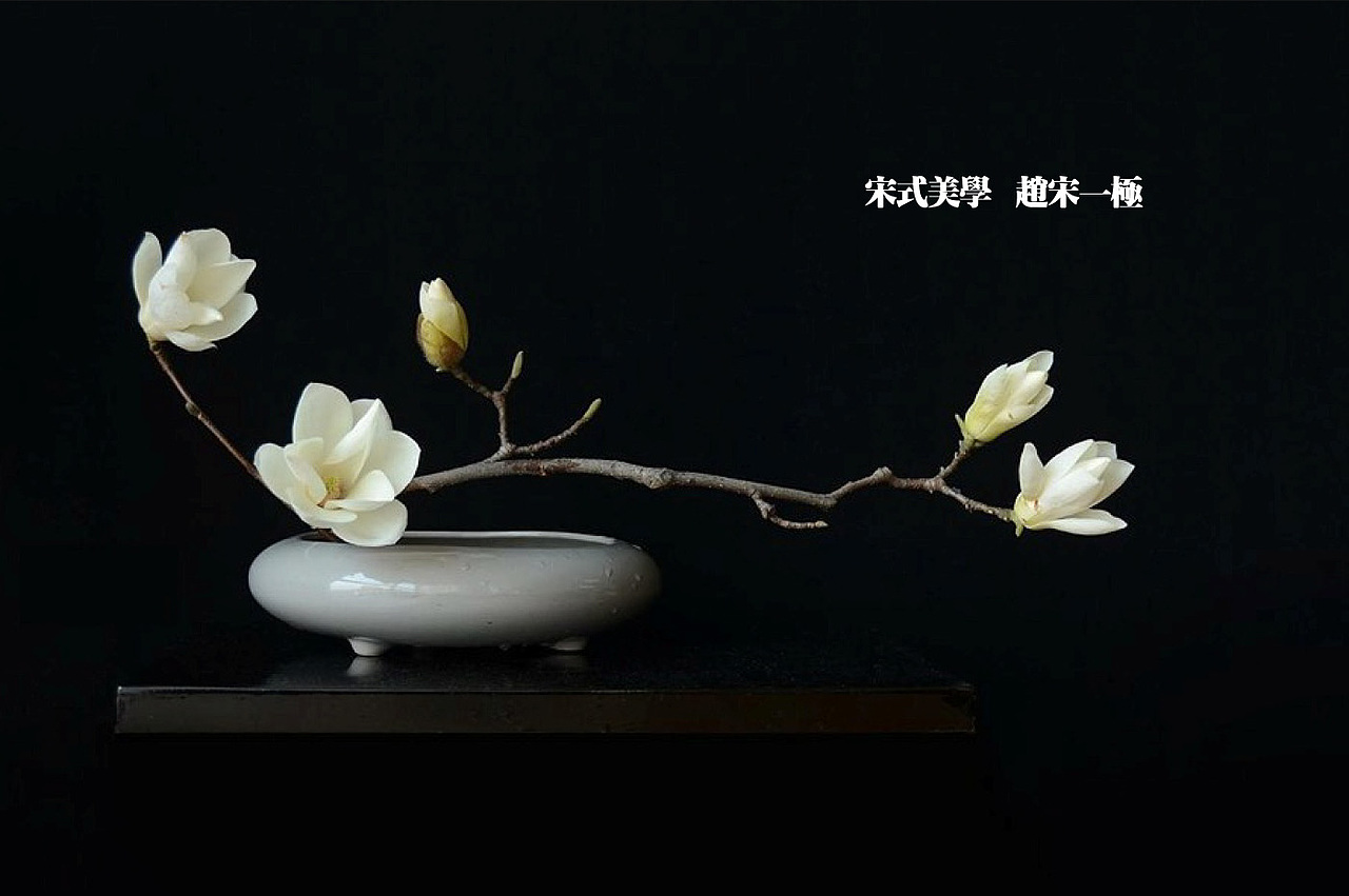 深圳迷因(青梅乌龙清酒&柠檬柚子清酒)包装策划设计