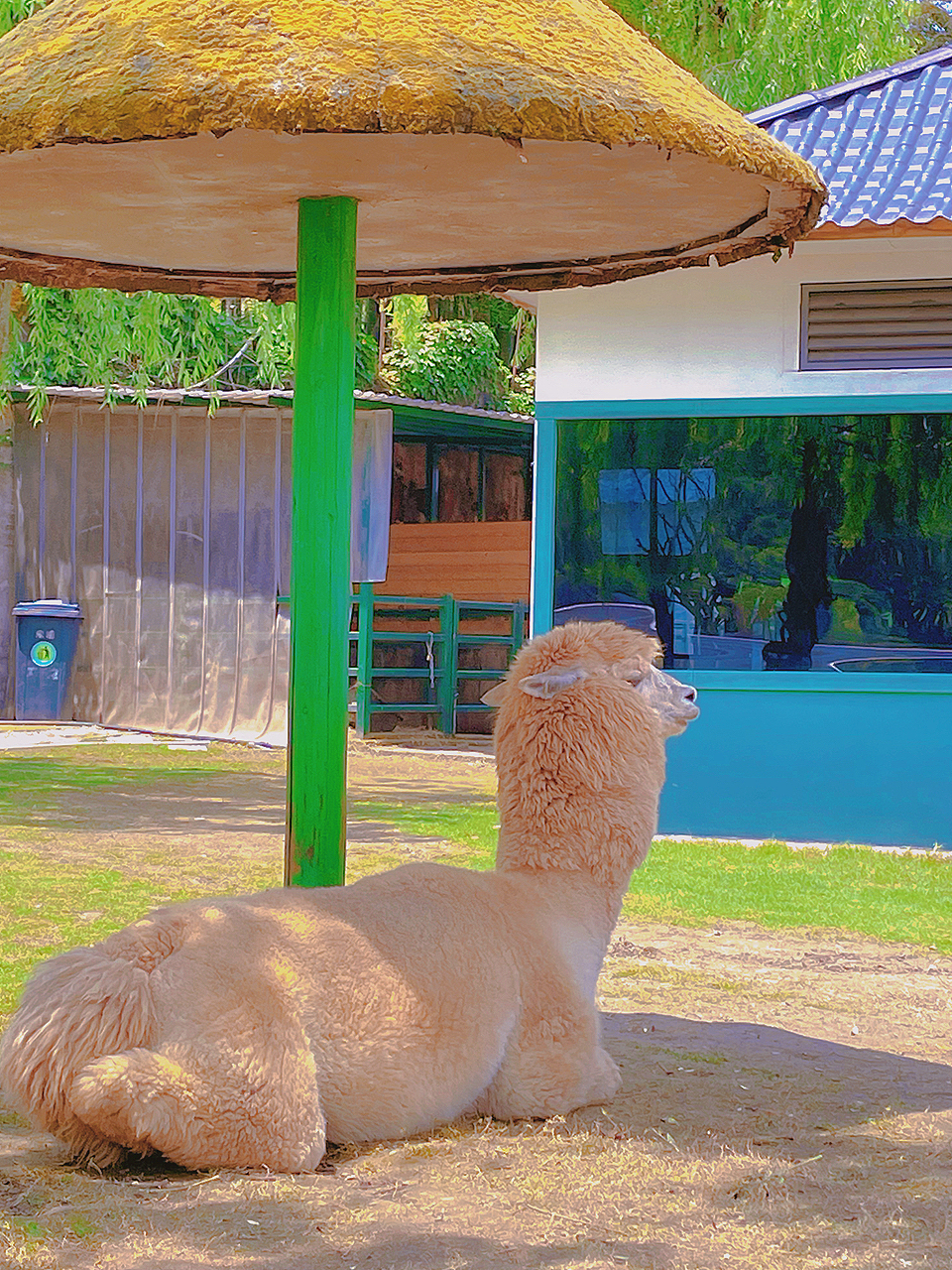 粉季|粉色碎花（图ZMzM3NjE2OTcy） - 人像摄影 - 站酷设计师会摄影的二狗子儿原创素材 - 站酷ZCOOL