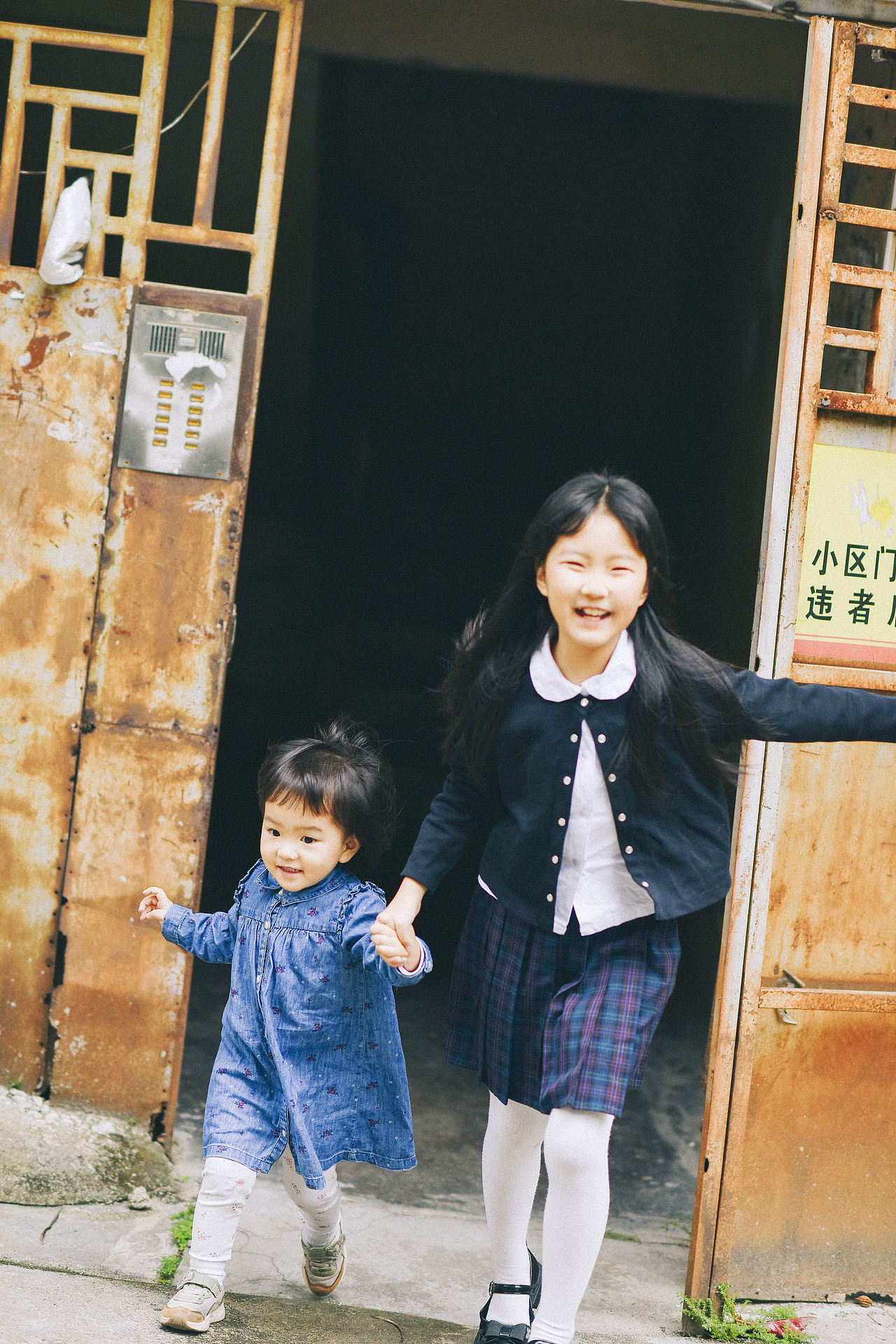 陪伴(一起奔跑,一起展翅翱翔)