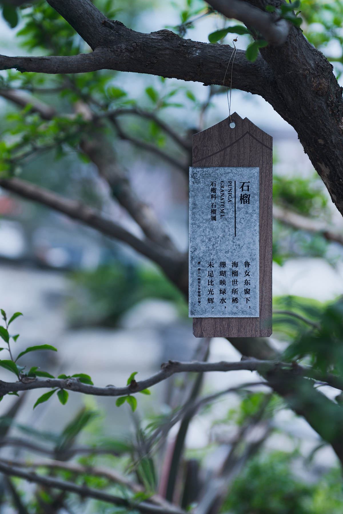 成都环球融创·江口水镇