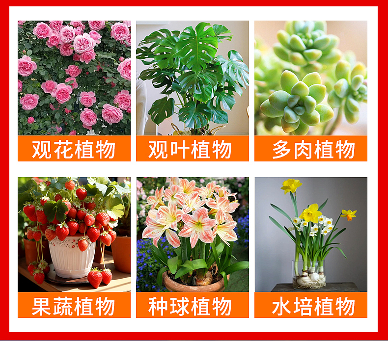 植物通用营养液