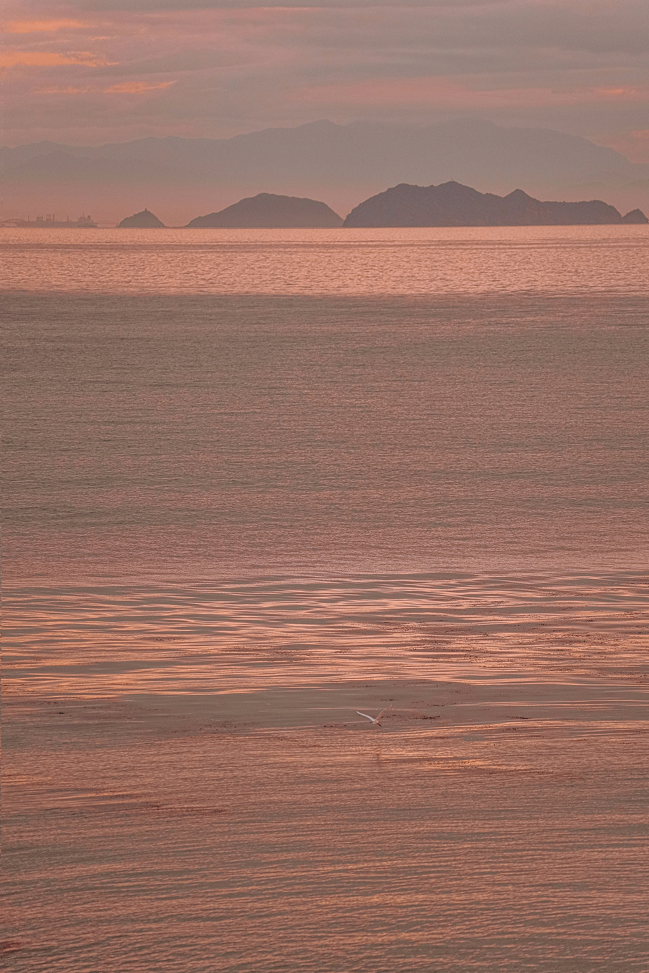 如果有两个太阳,一个代表光明, 一个代表希望
