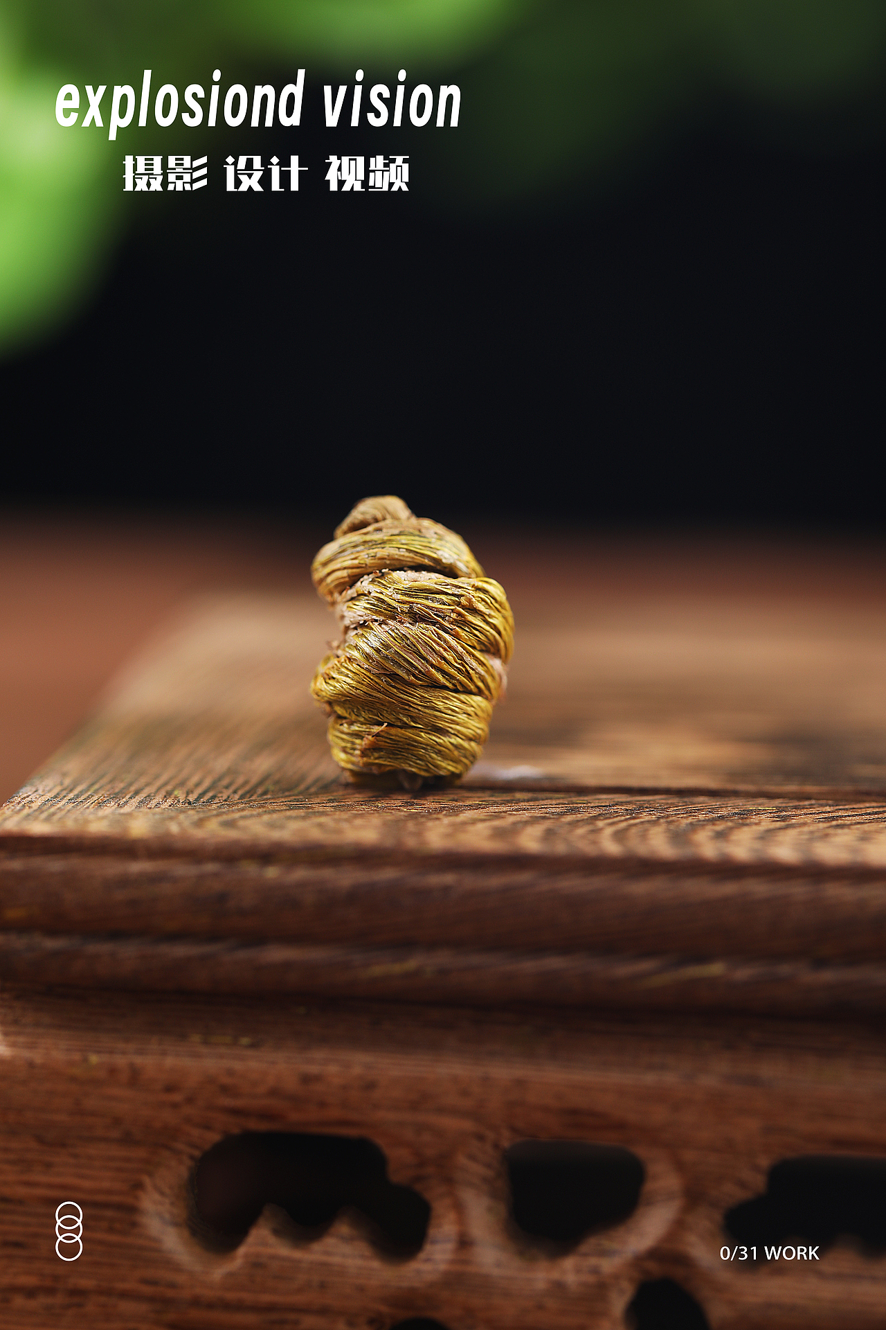 中药材拍摄 | 铁皮石斛