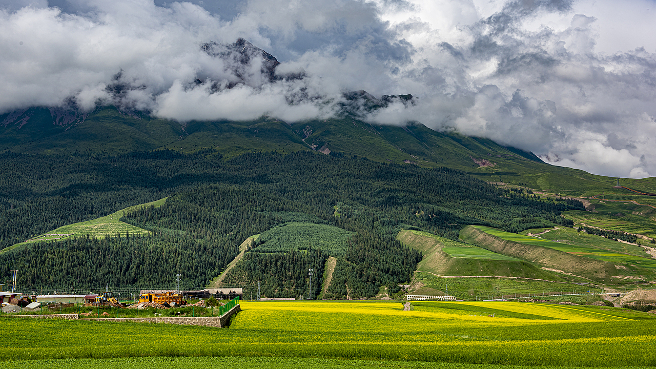 祁连山草原-回想