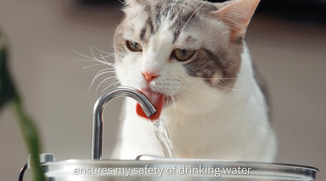 亚马逊视频 饮水器（图ZMzYzNzYzNzY4） - 宠物摄影 - 站酷设计师MY_STUDIO原创素材 - 站酷ZCOOL