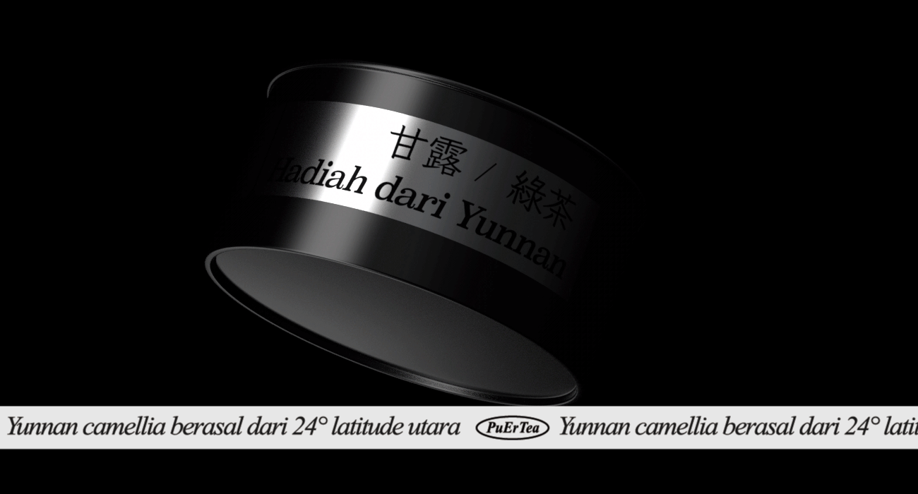 山南葉 茶叶礼盒包装设计