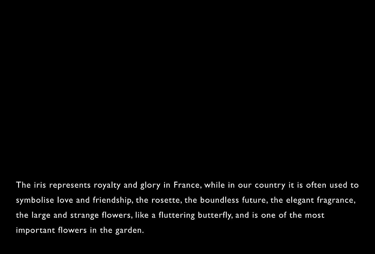 品牌包装设计（益生菌）（图ZMzA5MTk4ODUy） - 包装 - 站酷设计师宇宙制造局原创素材 - 站酷ZCOOL