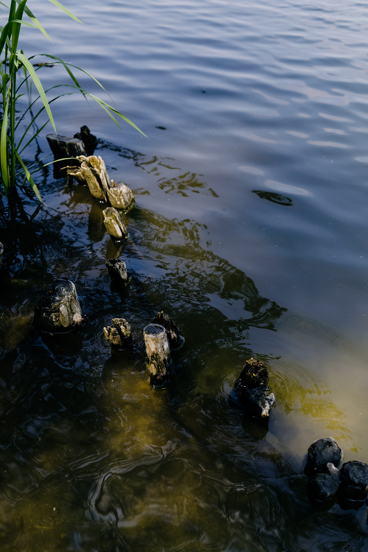 我的五一如此开篇