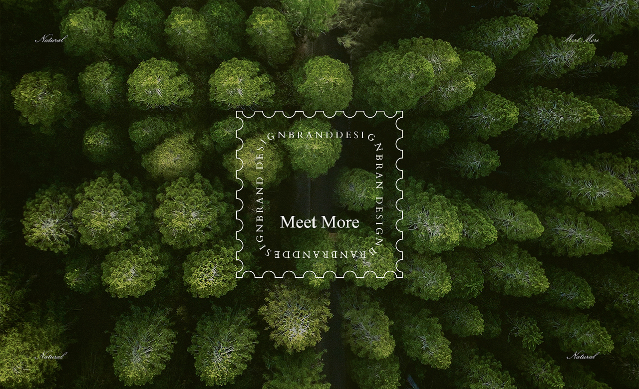 品牌升级 | Meet More精油