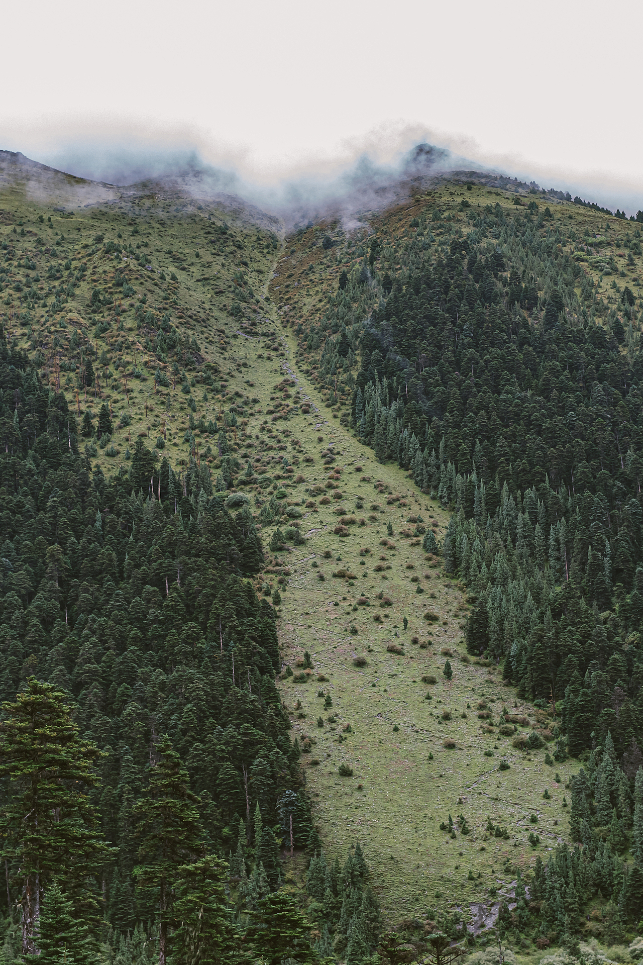 2021年 丙察察自驾进藏之行-察瓦龙到察隅（图ZMzE3NTg1ODM2） - 风光摄影 - 站酷设计师摄影师_彬VII原创素材 - 站酷ZCOOL