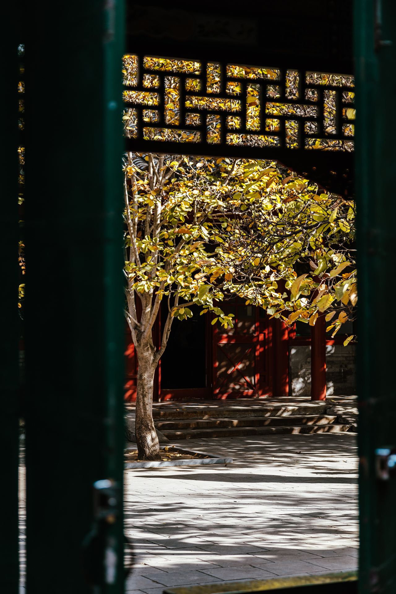 深秋·北京四合院