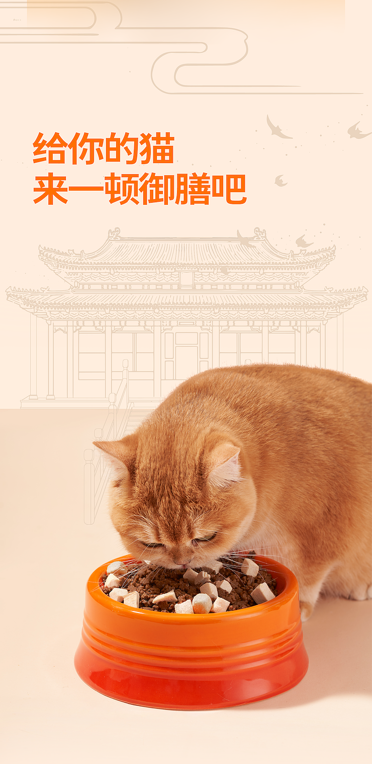 按食出动 | 猫粮品牌设计
