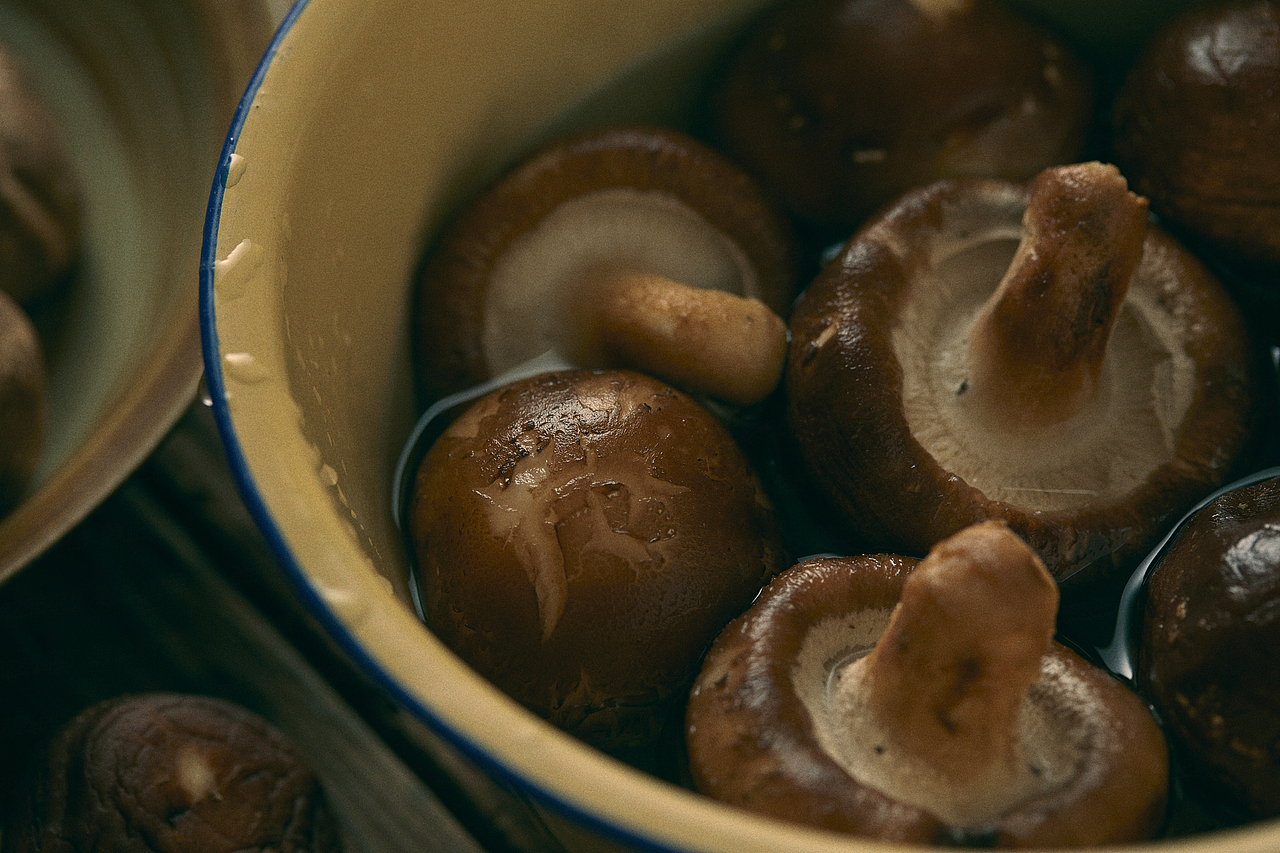 【国风静物】香菇