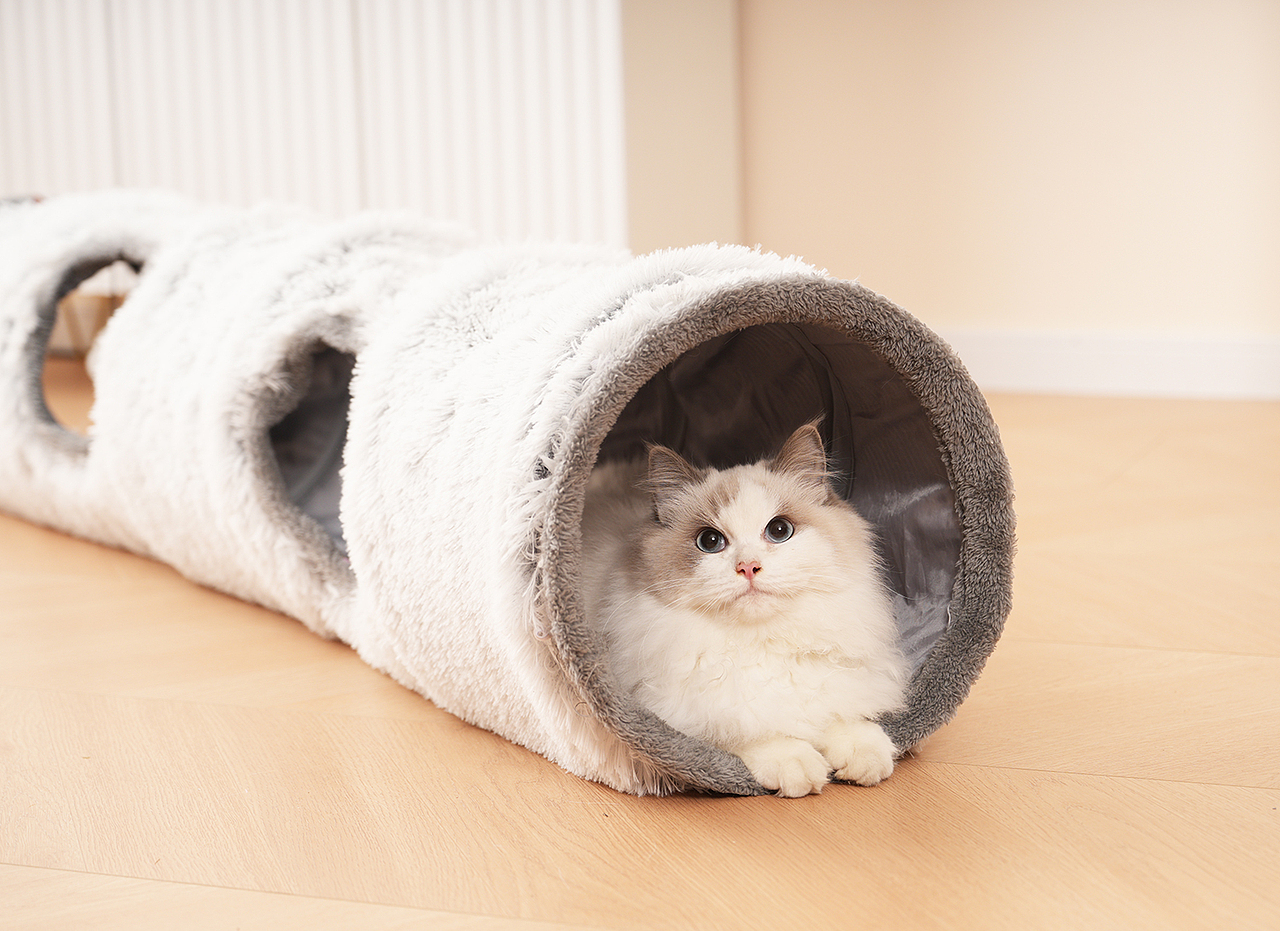 猫窝宠物蛋壳拍摄静物拼多多亚马逊广告摄影视频拍摄制