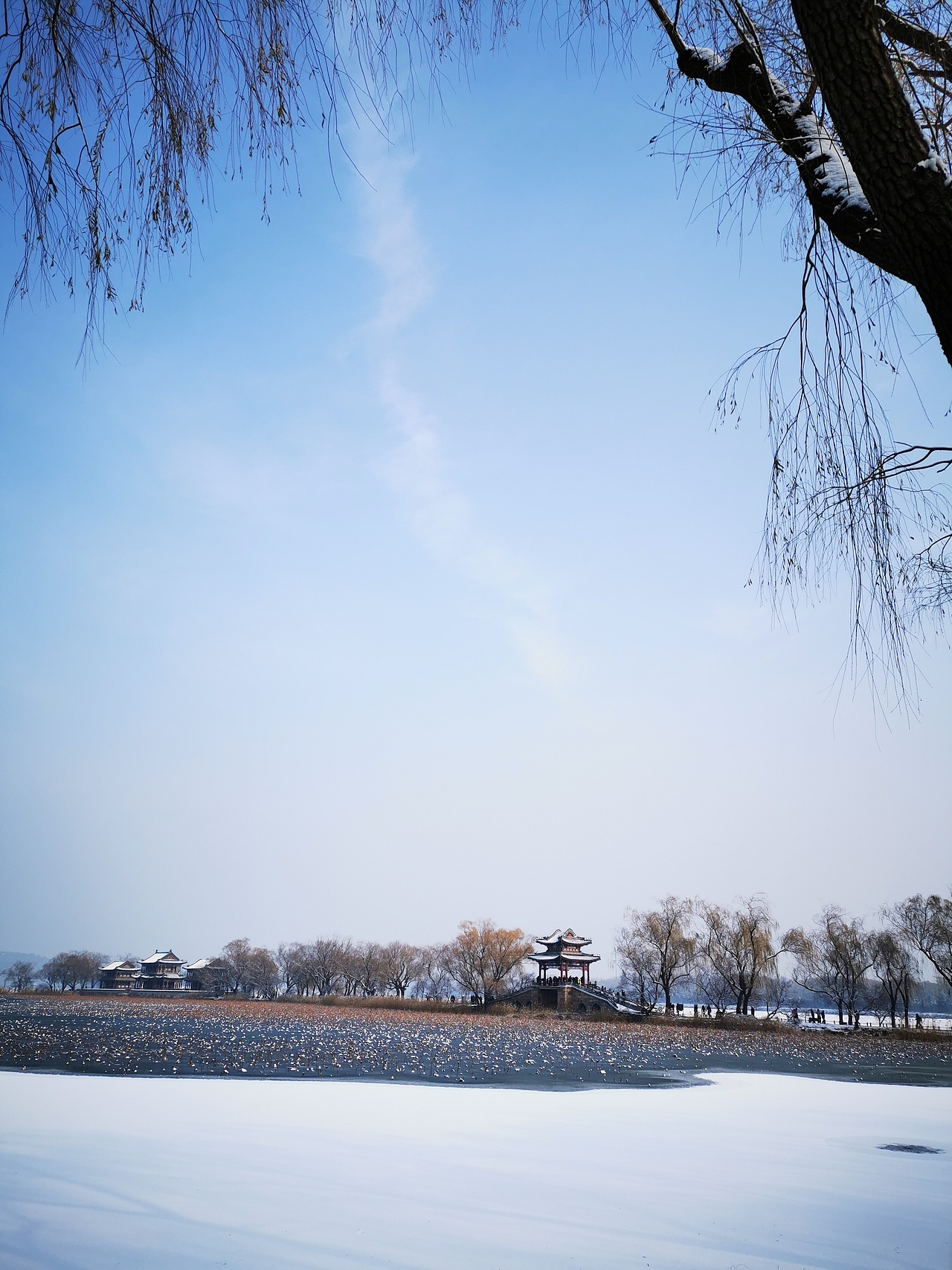 华为手机-部分摄影碎片