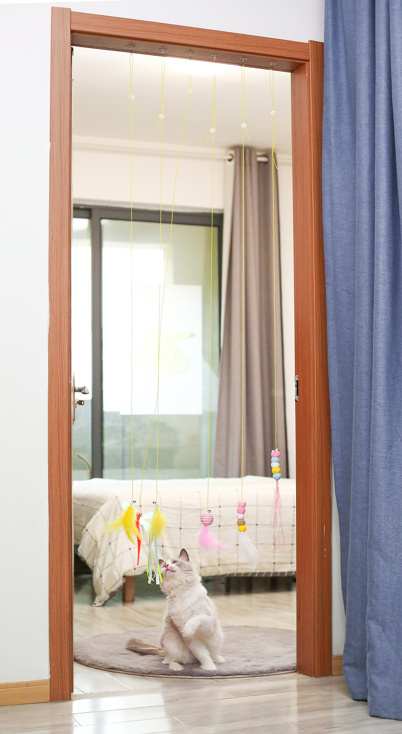 猫咪逗猫棒宠物产品亚马逊拍摄视频主图制作设计静物拍