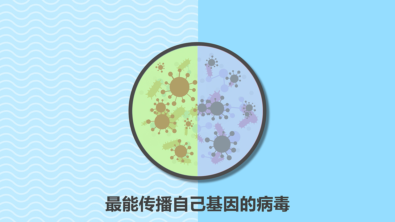 医疗宣传教育类MG动画-病毒为什么有这么大杀伤力?