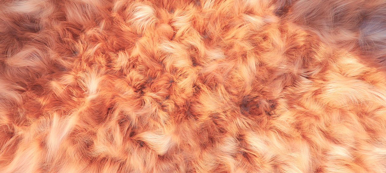 C4D 毛发质感表现（图ZMjk2MzE1NTIw） - 其他三维 - 站酷设计师TimZhang0o0原创素材 - 站酷ZCOOL