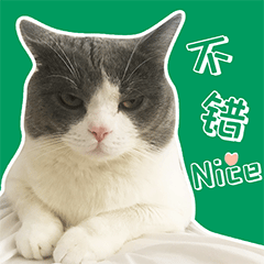 叮当的单身生活（图ZMzEyODE1MTc2） - 网络表情 - 站酷设计师runningPP原创素材 - 站酷ZCOOL