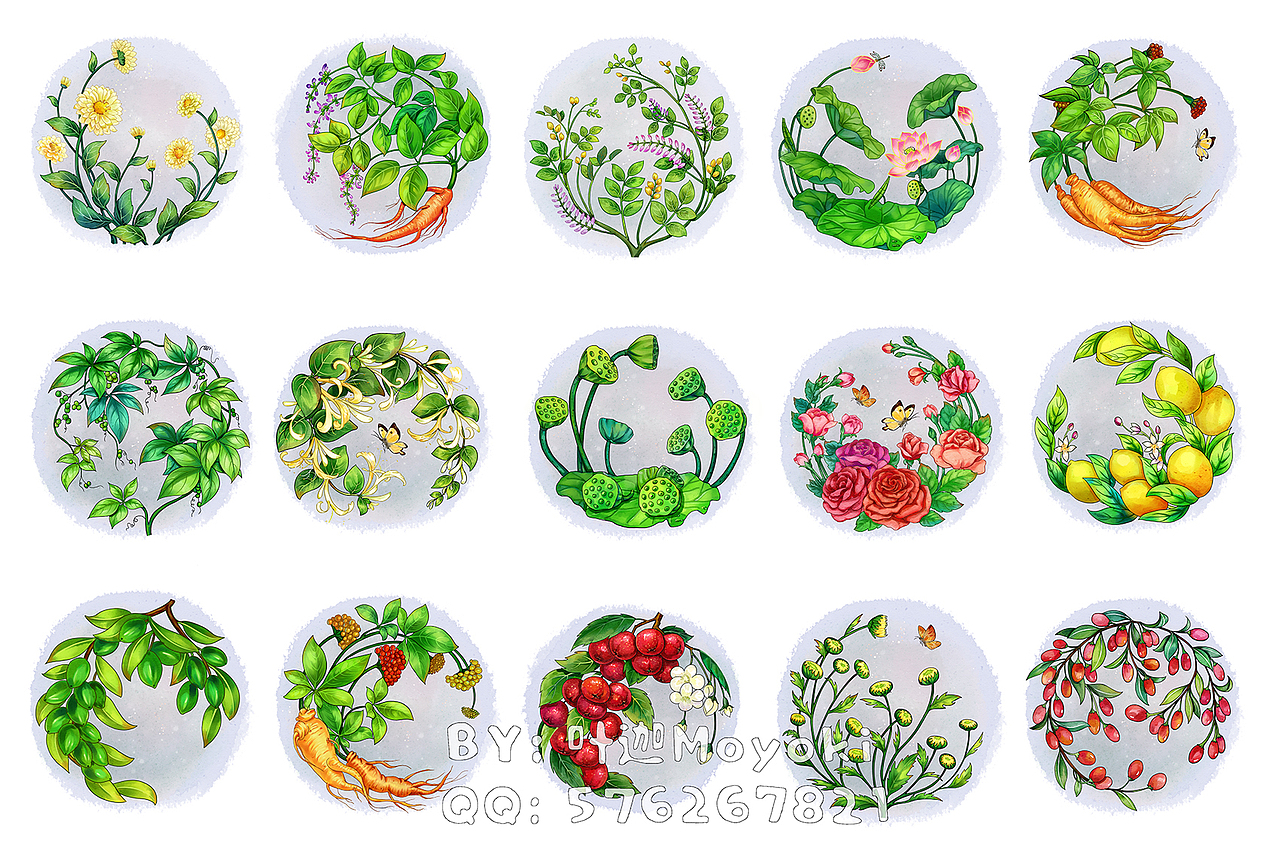植物插画（图ZMzEyOTk1MTE2） - 商业插画 - 站酷设计师叶迦原创素材 - 站酷ZCOOL