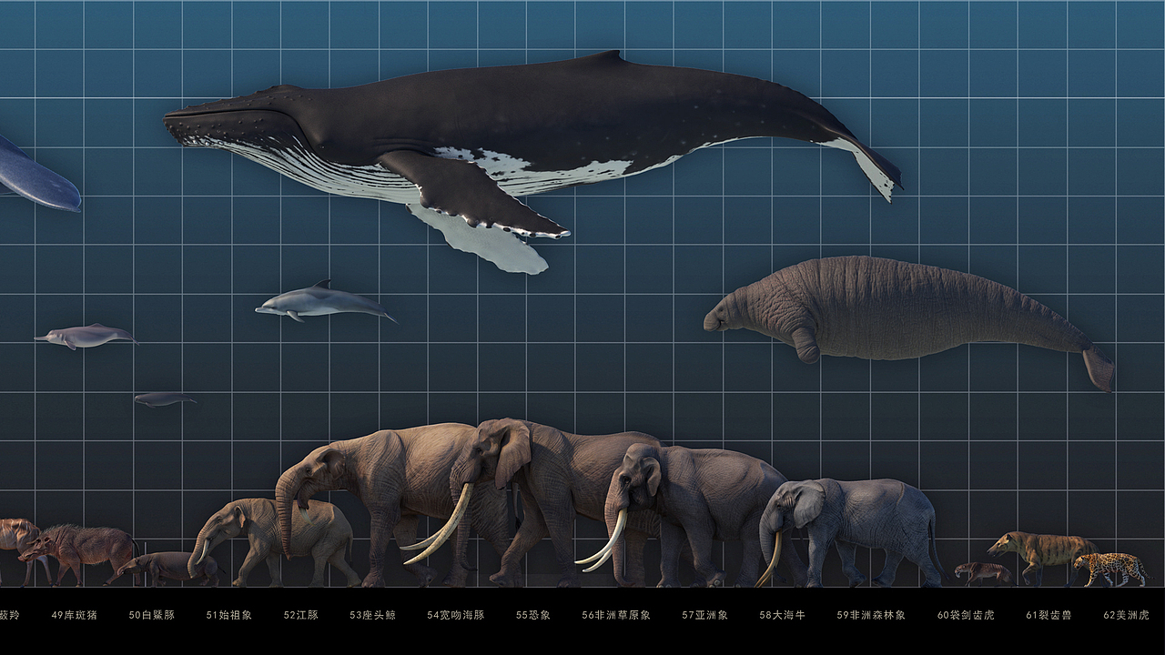 2019-2022 CG写实生物汇总