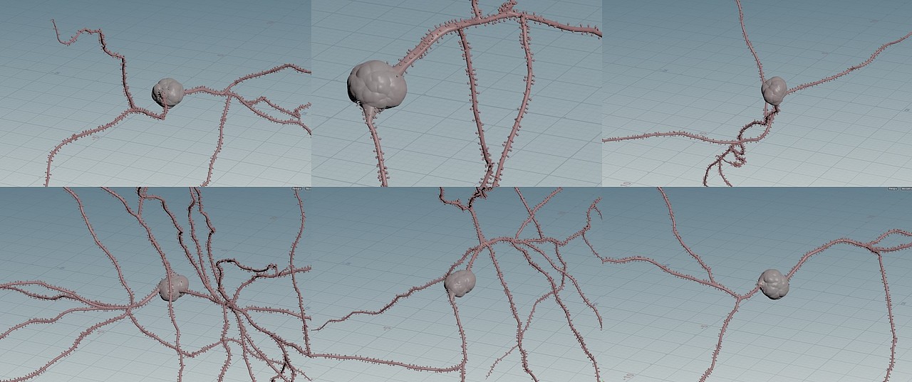 脑新生 动态设计（图ZMzE1MTEzOTQ4） - 人物/生物 - 站酷设计师omoolab原创素材 - 站酷ZCOOL