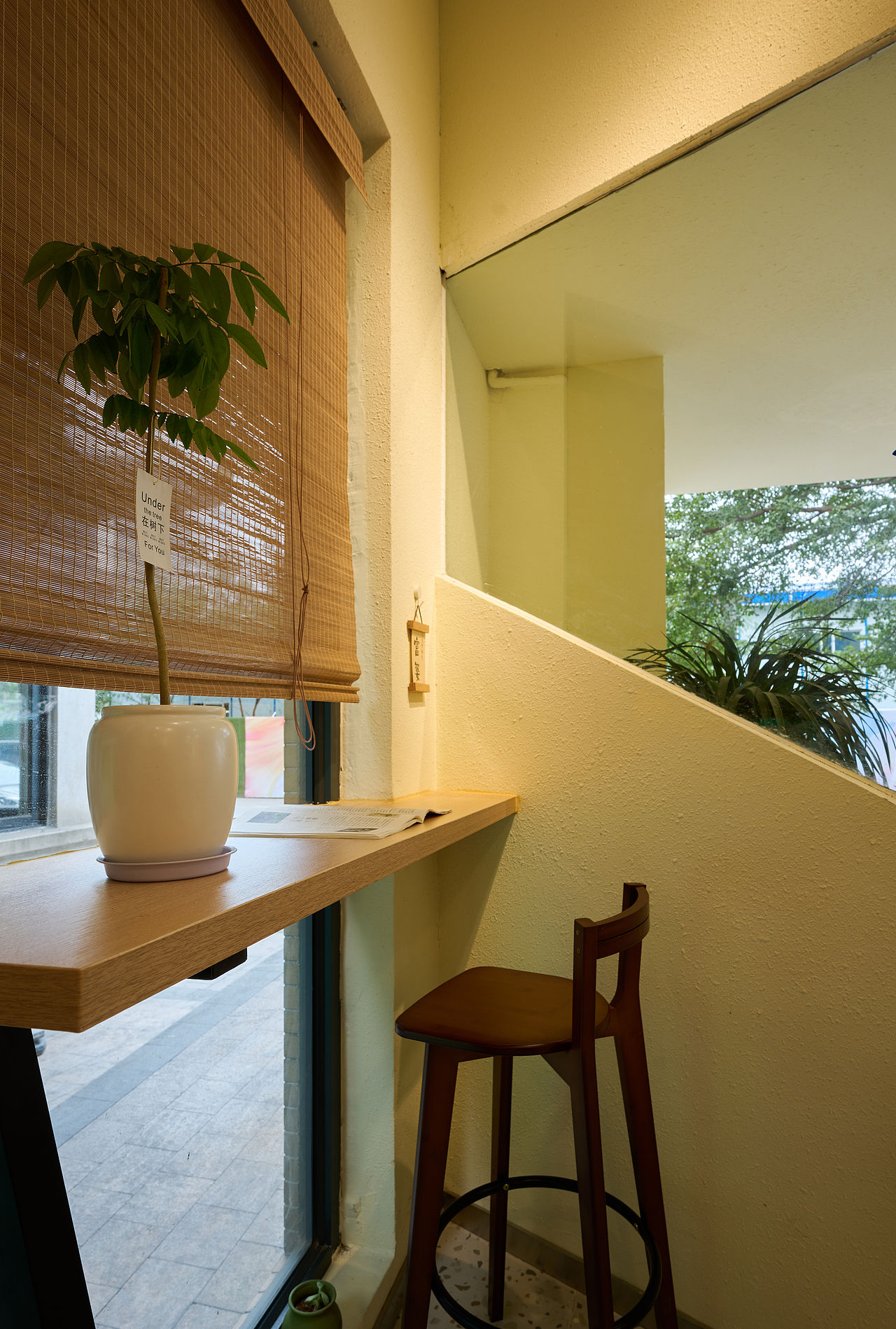 汤盏品牌/原蛊营养炖汤/美食菜品拍摄案例