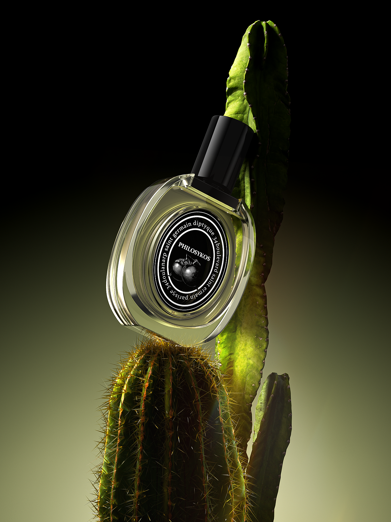 自然植物渲染（图ZMzQzMjM3MjMy） - 其他三维 - 站酷设计师熊老板丶原创素材 - 站酷ZCOOL