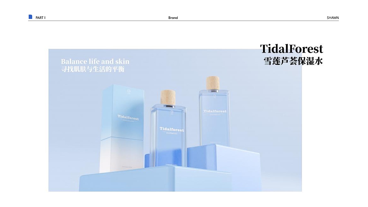 2023视觉传达个人作品集