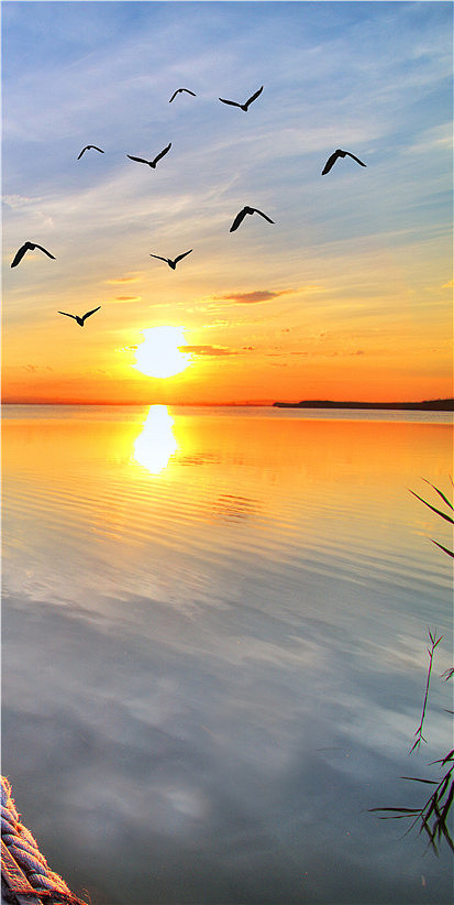 艺术来源于生活