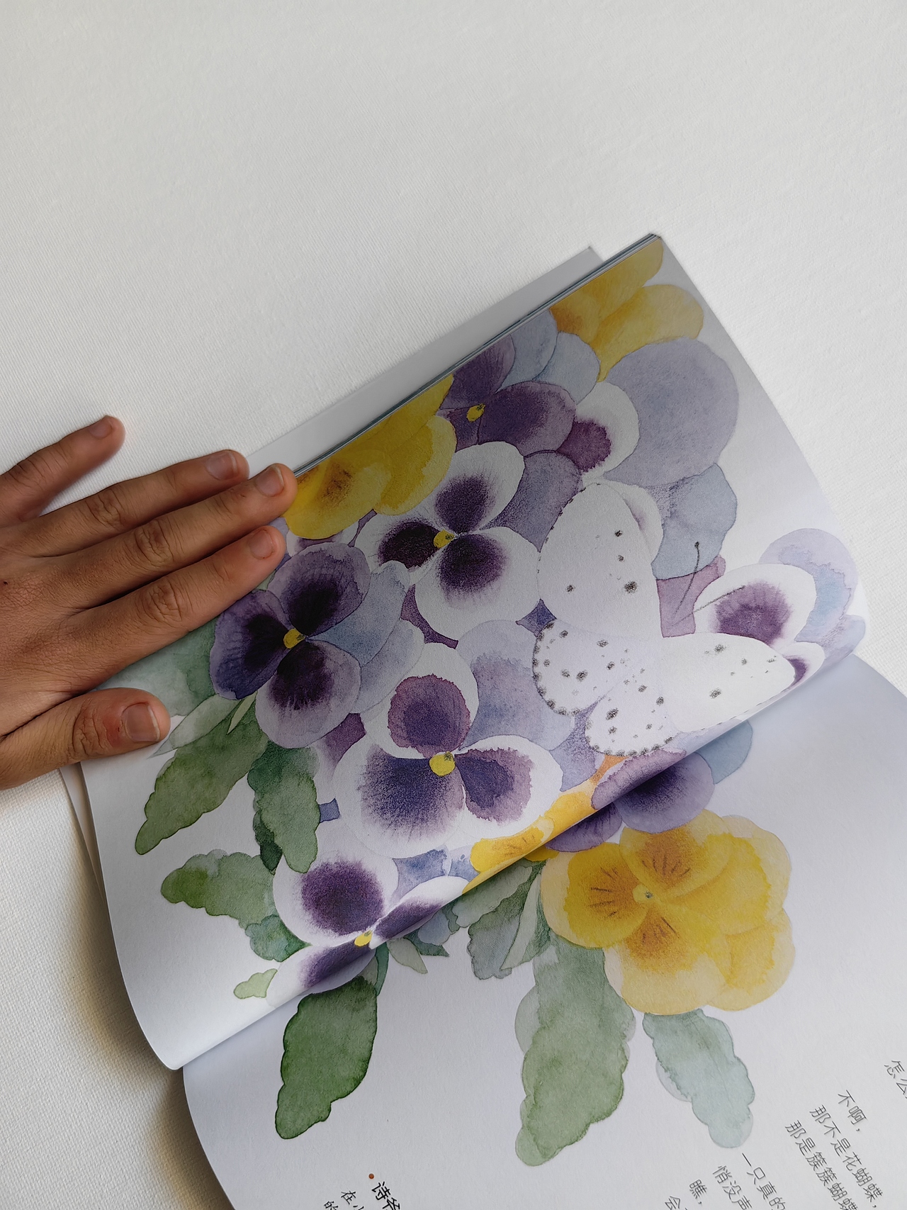 《名家写给童年的诗》系列书籍插画\两本