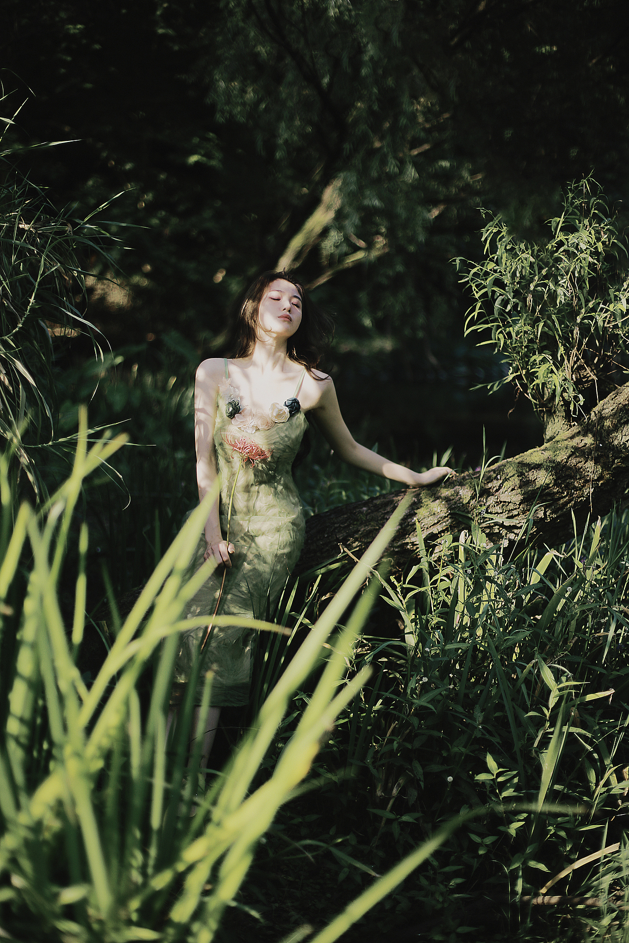 夏末余梦（图ZMzE3NDEyNzY4） - 人像摄影 - 站酷设计师太阳酱Catnip原创素材 - 站酷ZCOOL