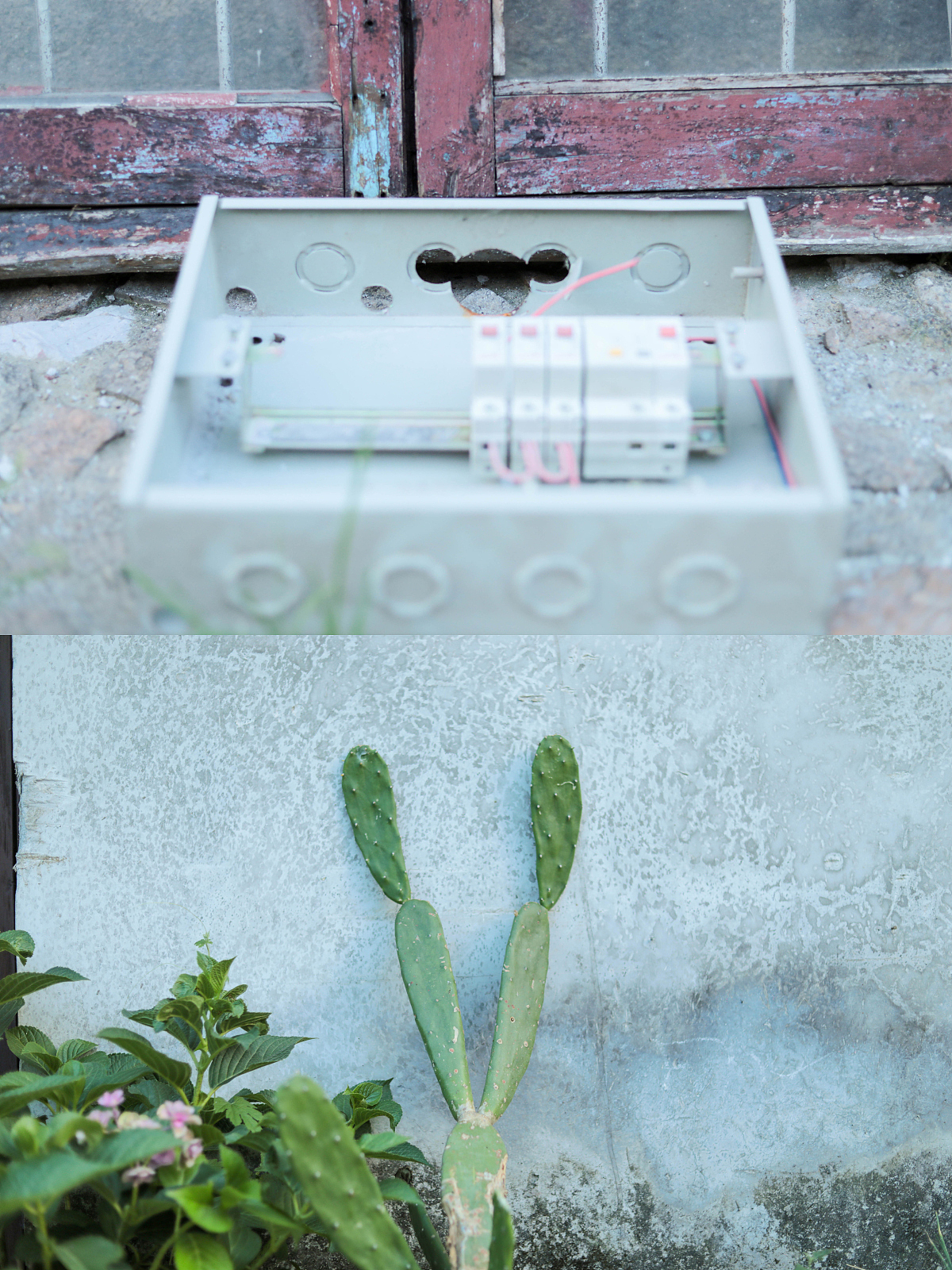 城市速写 |6月10日