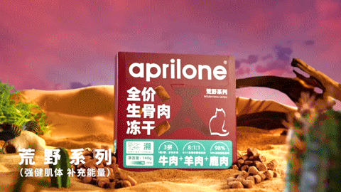 生骨肉 | 四月名 | 电商摄影 | 宠叔叔传媒