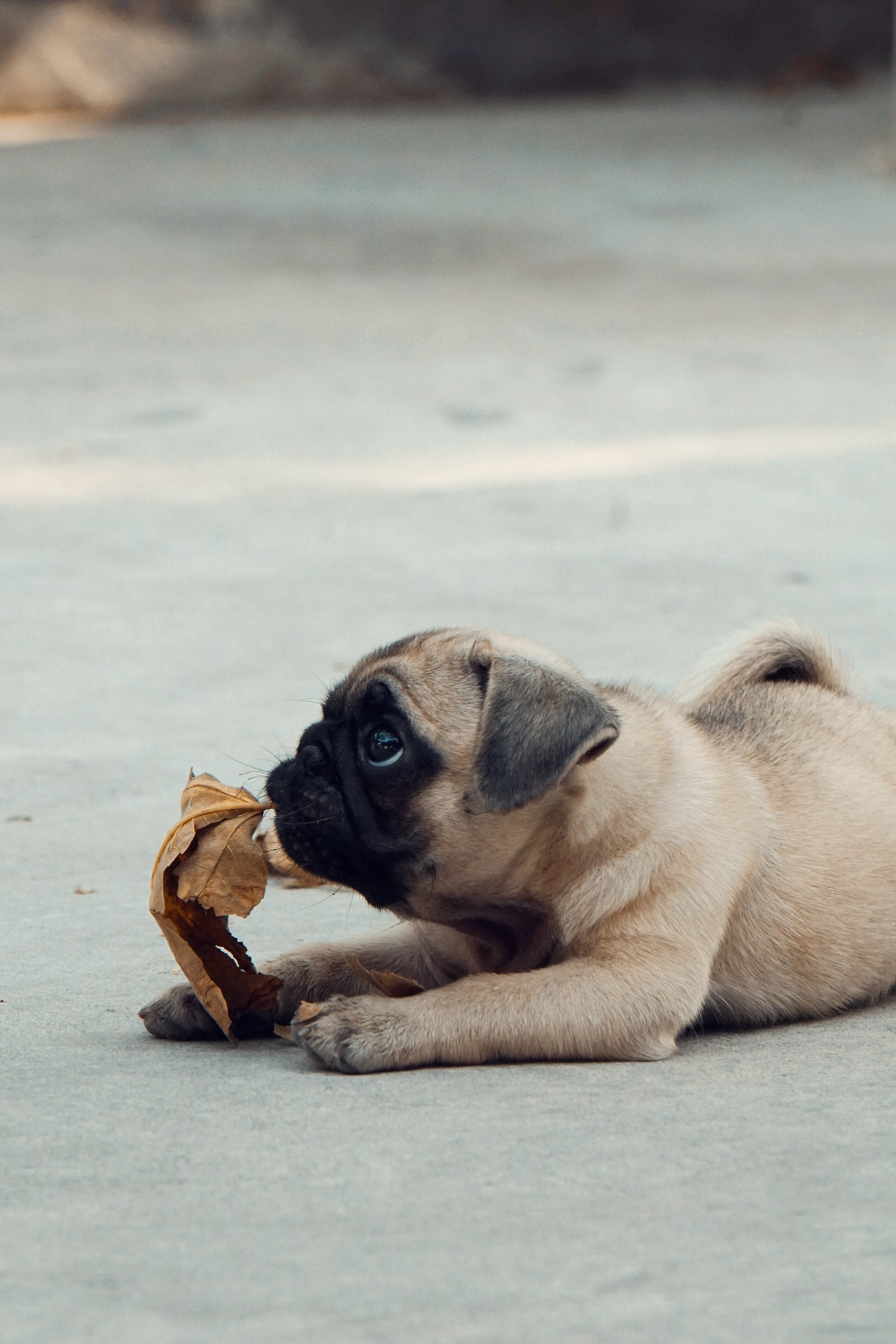 涂鸦改造|南美洲wayuu包工作室&扎心咖啡