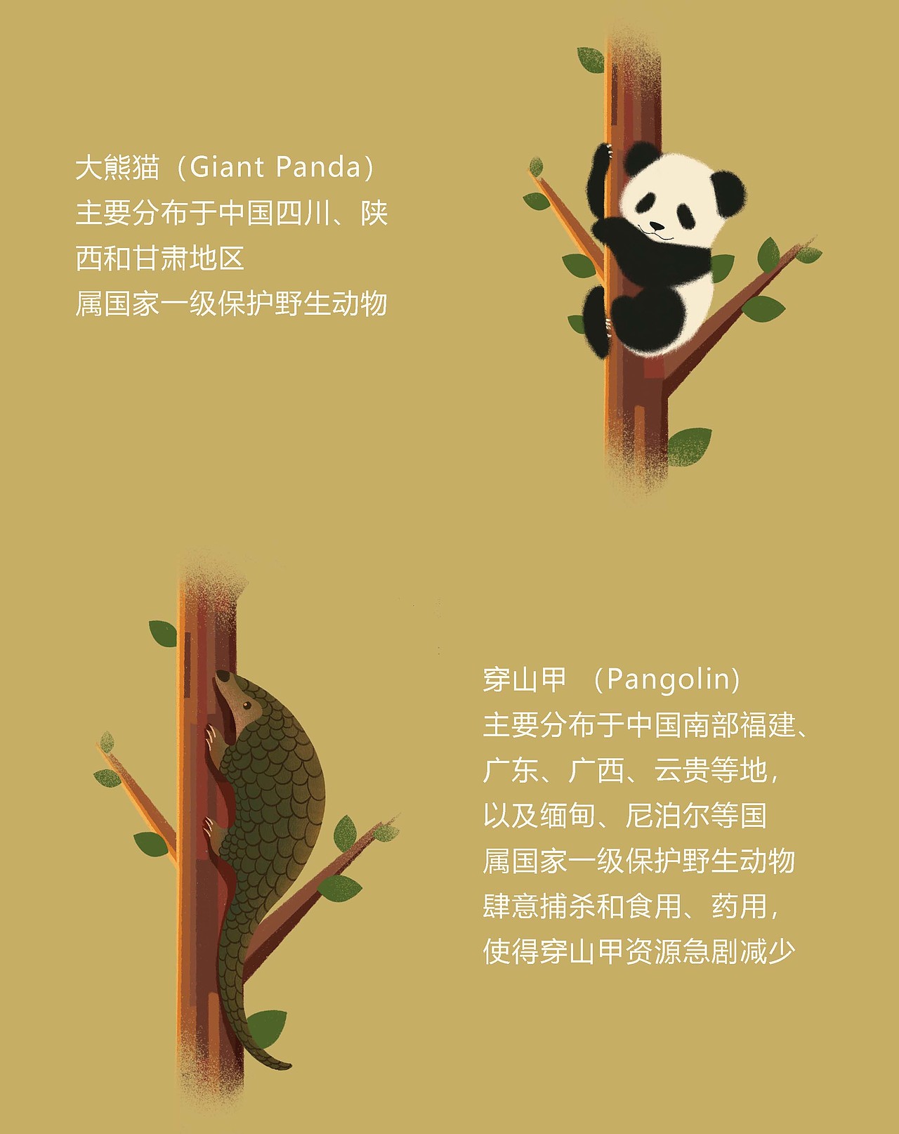 大熊貓與穿山甲（圖ZMzUyOTQ4OTQ0） - 藝術(shù)插畫 - 站酷設(shè)計(jì)師左啦啦原創(chuàng)素材 - 站酷ZCOOL