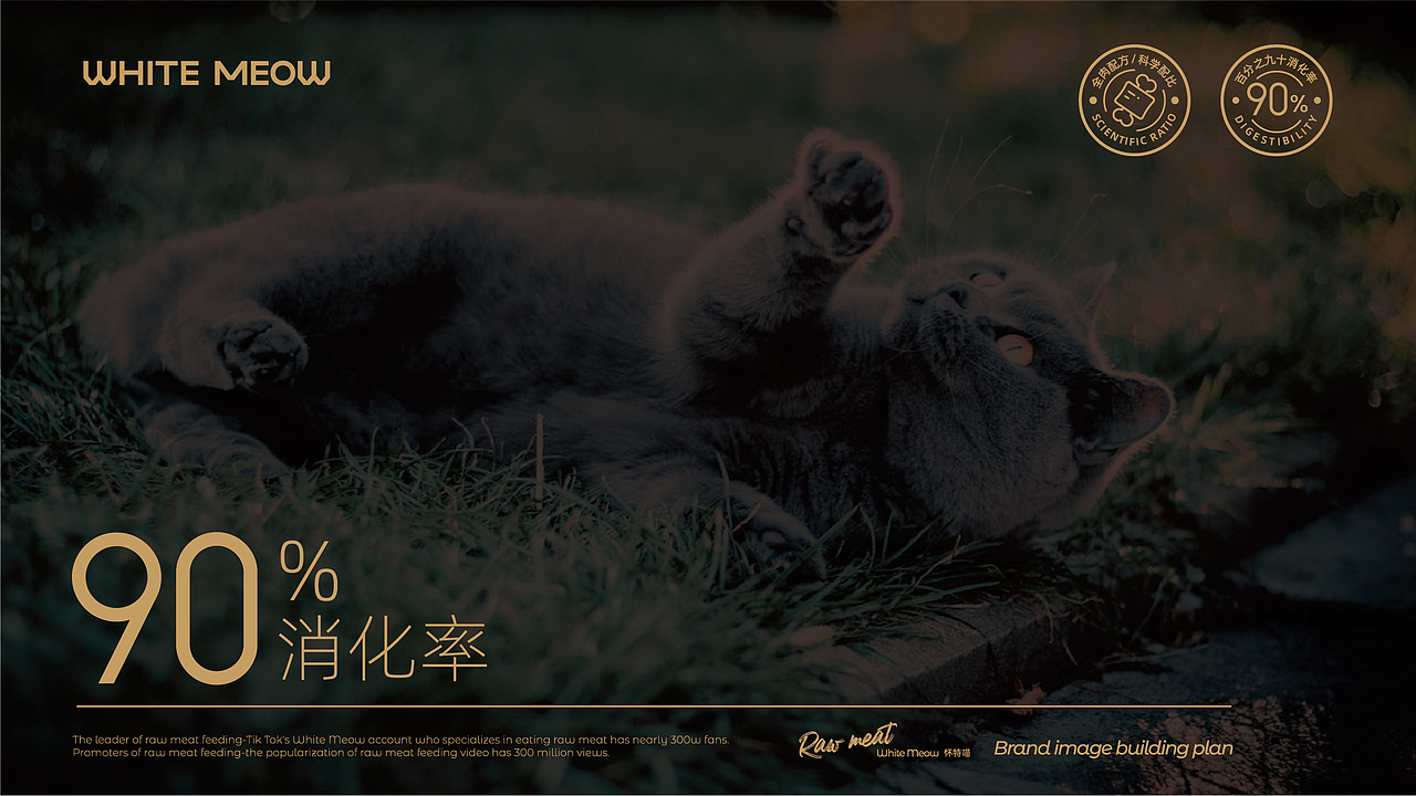 生骨肉喂养专家——怀特喵·宠物品牌升级（图ZMzEwMDYyNjIw） - 品牌 - 站酷设计师核桃设计原创素材 - 站酷ZCOOL