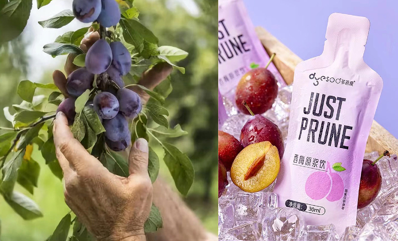 健身女皇 品牌重塑（图ZMzY2NTI4Nzg0） - 电商 - 站酷设计师BestTron原创素材 - 站酷ZCOOL