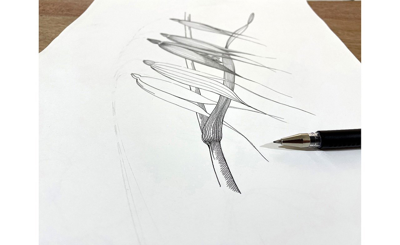 苏武插画《十二本草 . 本草银耳》的创作过程（图ZMzAyNTY2MzY0） - 商业插画 - 站酷设计师春天的田野原创素材 - 站酷ZCOOL