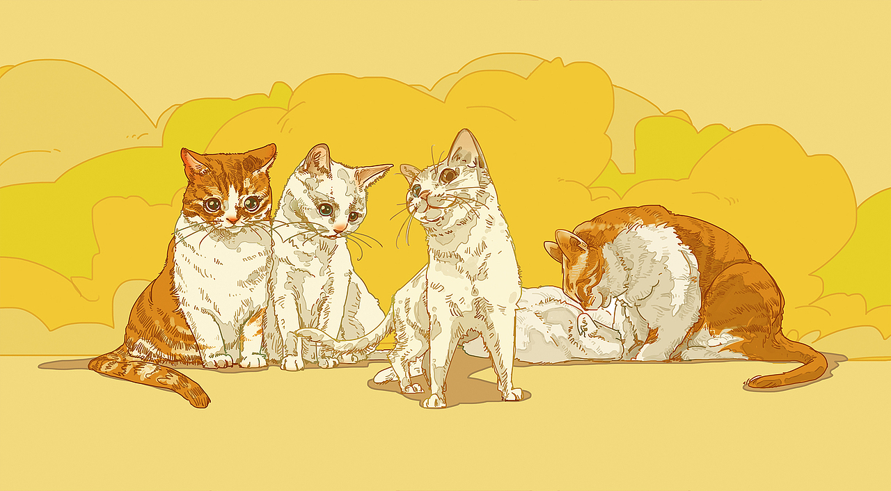 一些猫（图ZMzY4NzgyMzEy） - 创作习作 - 站酷设计师咯咯新生原创素材 - 站酷ZCOOL