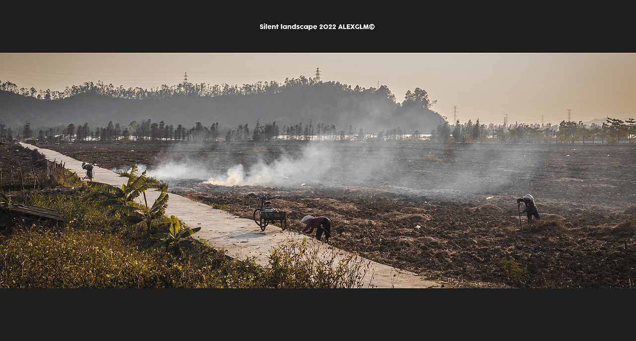 沉默的风景 SILENT LANDSCAPE