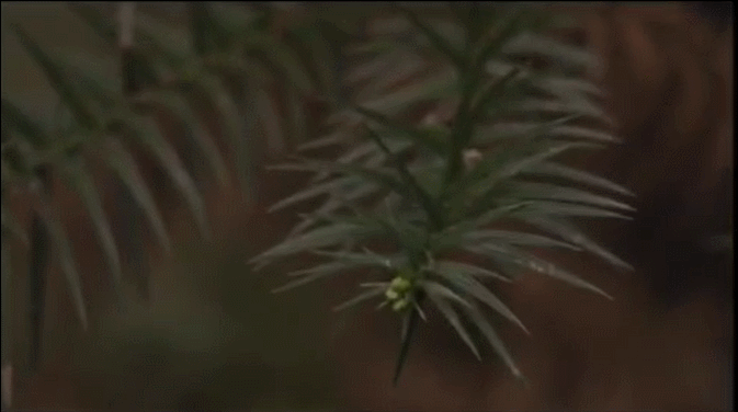 Gucci 花悦梦意 | PROFUMO DI FIORI（图ZMzE2MjkwMDM2） - 产品摄影 - 站酷设计师TOMATOphotograph原创素材 - 站酷ZCOOL