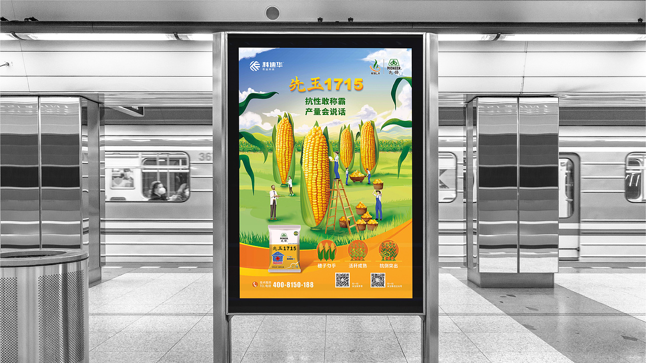 农业\玉米种业\先锋品牌\产品海报设计项目（图ZMzE3MTI2MzYw） - 海报 - 站酷设计师红微原创素材 - 站酷ZCOOL