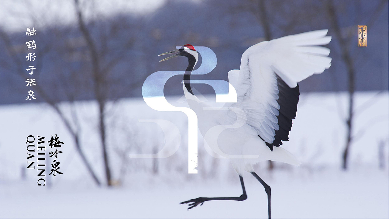 梅岭泉益生元黄酒品牌设计项目