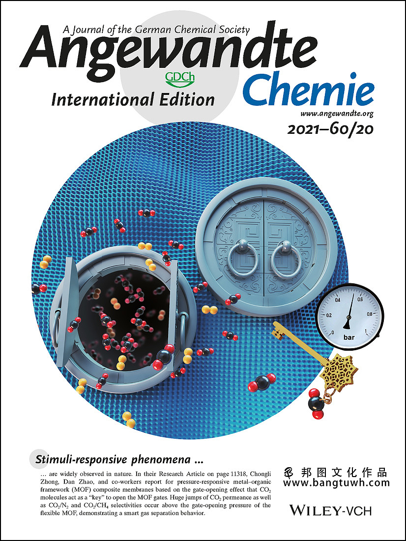 邦图文化科研绘图 作品展示